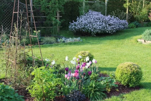 que faire dans son jardin au mois de mai