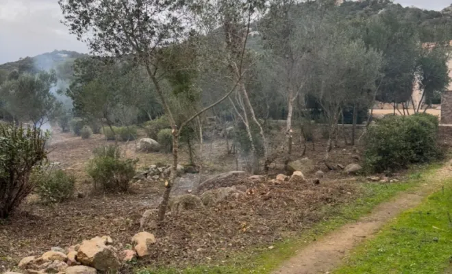 Après Un Démaquisage Soigné et Sélectif