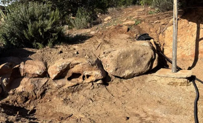Terrassement en Corse