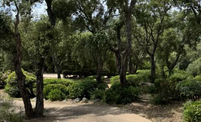 Création de jardin, Porto-Vecchio, Monsieur Jérôme CUCCHI