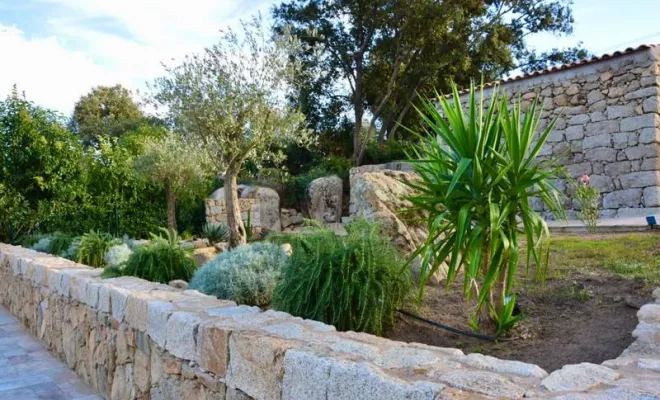 Création de jardin, Porto-Vecchio, Monsieur Jérôme CUCCHI
