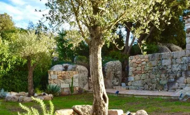 Création de jardin, Porto-Vecchio, Monsieur Jérôme CUCCHI